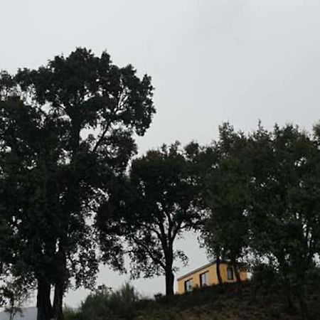 Willa Refugio Do Sobreiro Cabeceiras de Basto Zewnętrze zdjęcie